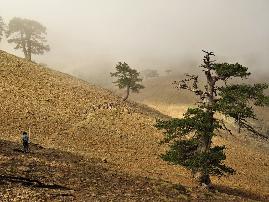 Exp-trek Ορειβασία, Πεζοπορία, Οργάνωση κατασκήνωσης 