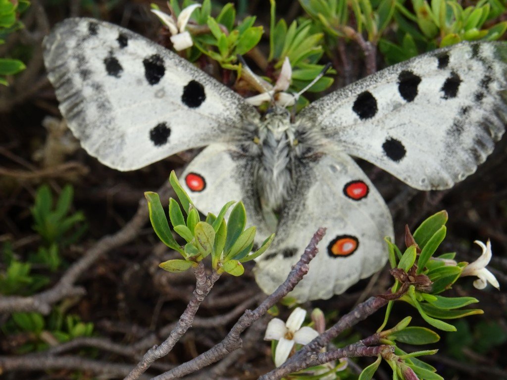 Exp-trek Mountaineering, Hiking, Camping, Canyoning