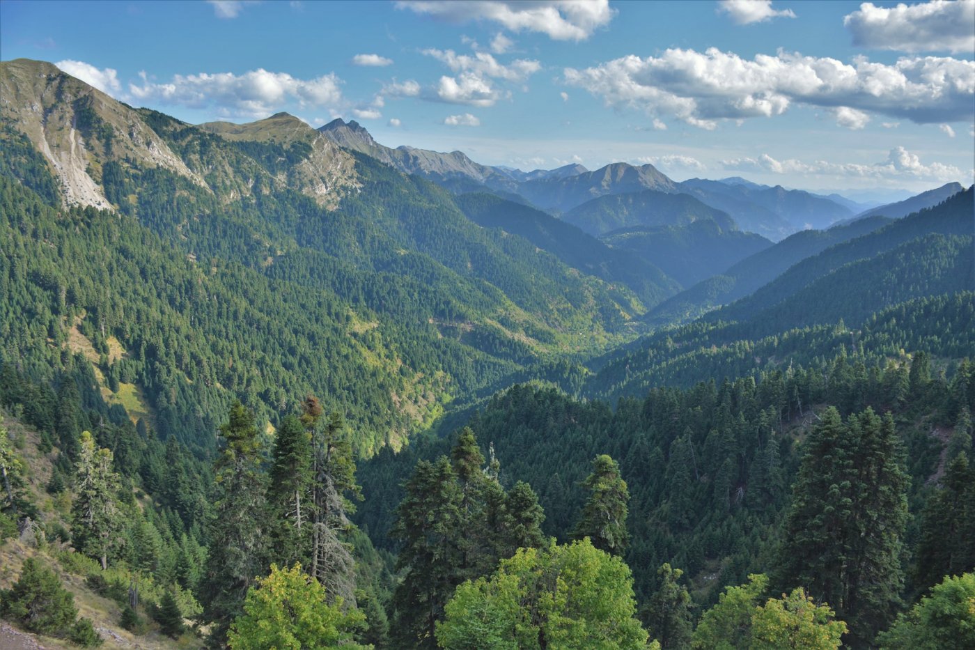 Tzoumerka, Agrafa / Central Pindos