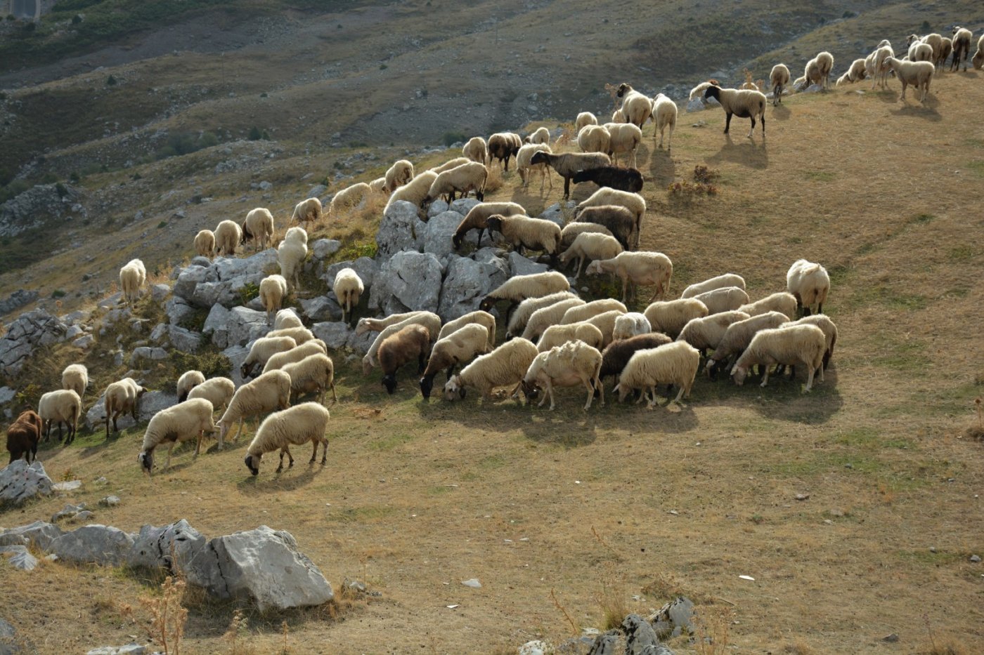 Πολιτισμός & Παράδοση